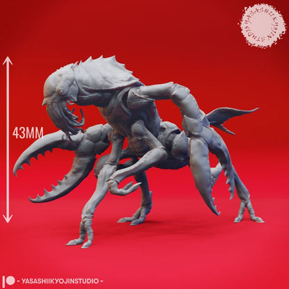 Chuul - Charging