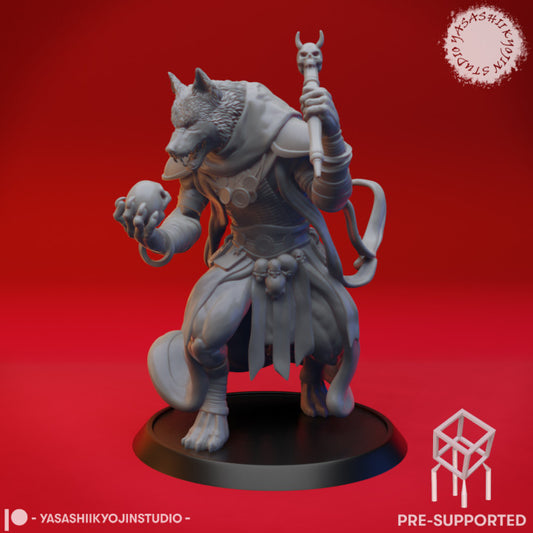 Coyote Necromancer