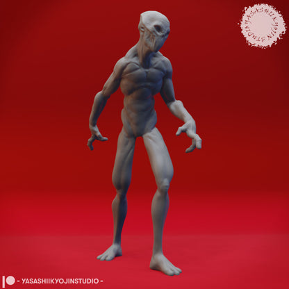 Doppelganger True Form
