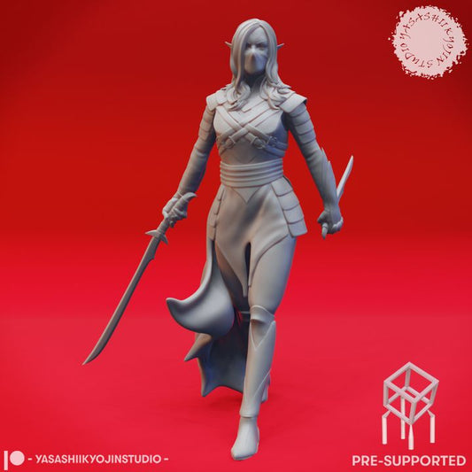 Drow Assassin