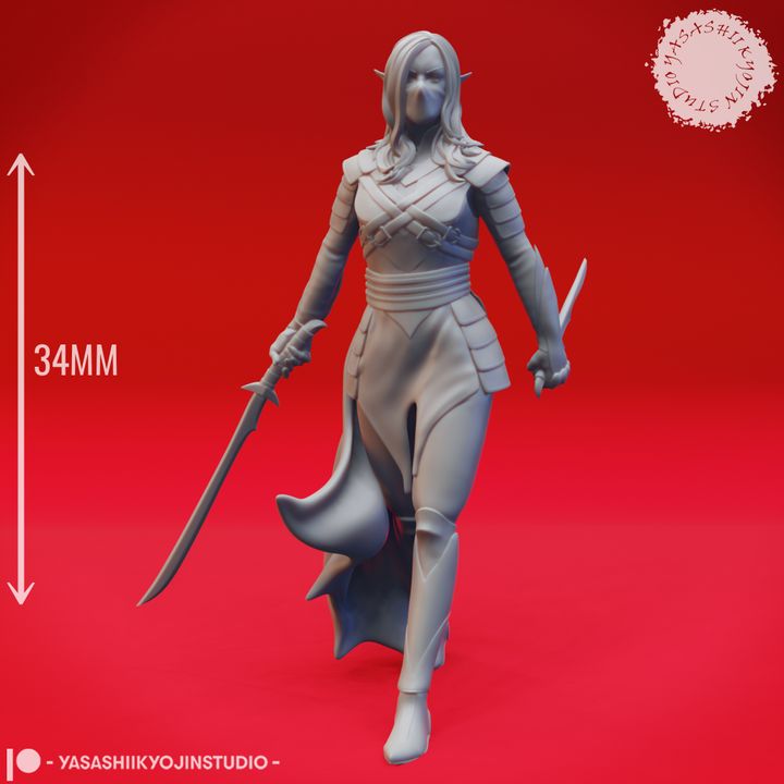 Drow Assassin