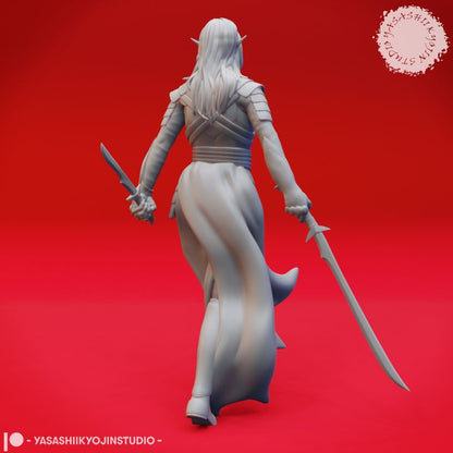 Drow Assassin