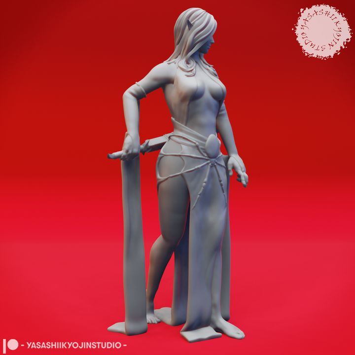 Drow Priestess