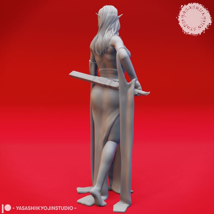 Drow Priestess