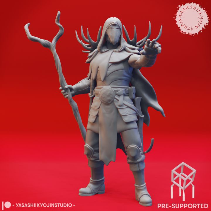 Druid - Human Male - Lvl 10