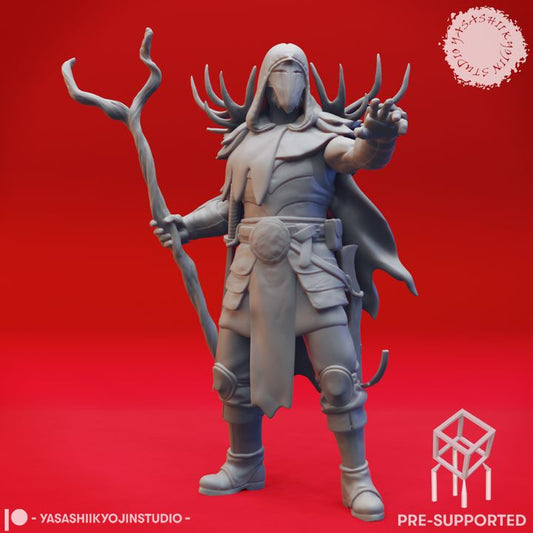 Druid - Human Male - Lvl 10