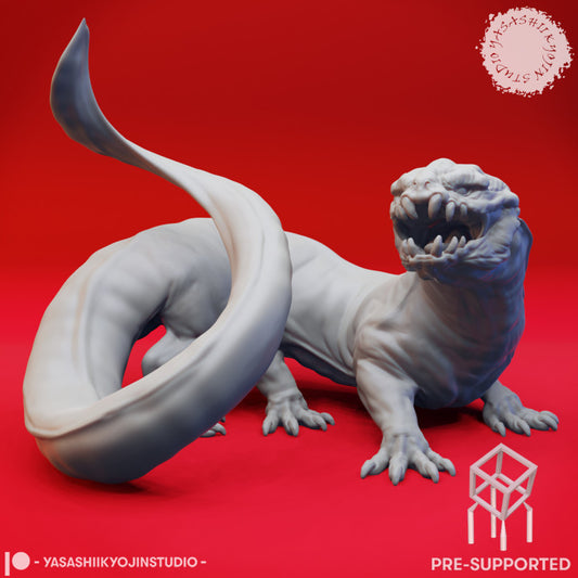 Frost Salamander