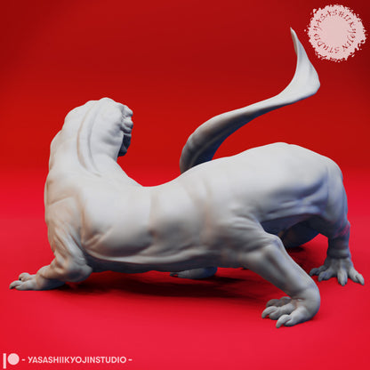 Frost Salamander