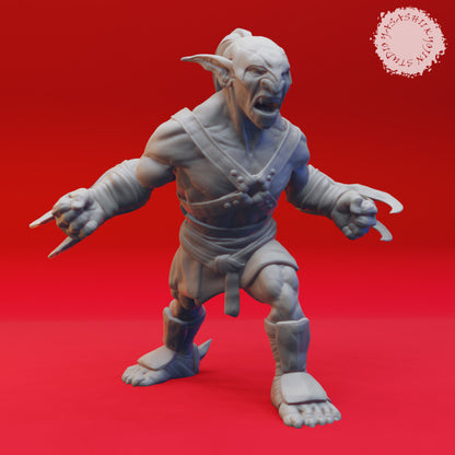 BUNDLE! Goblin Warband
