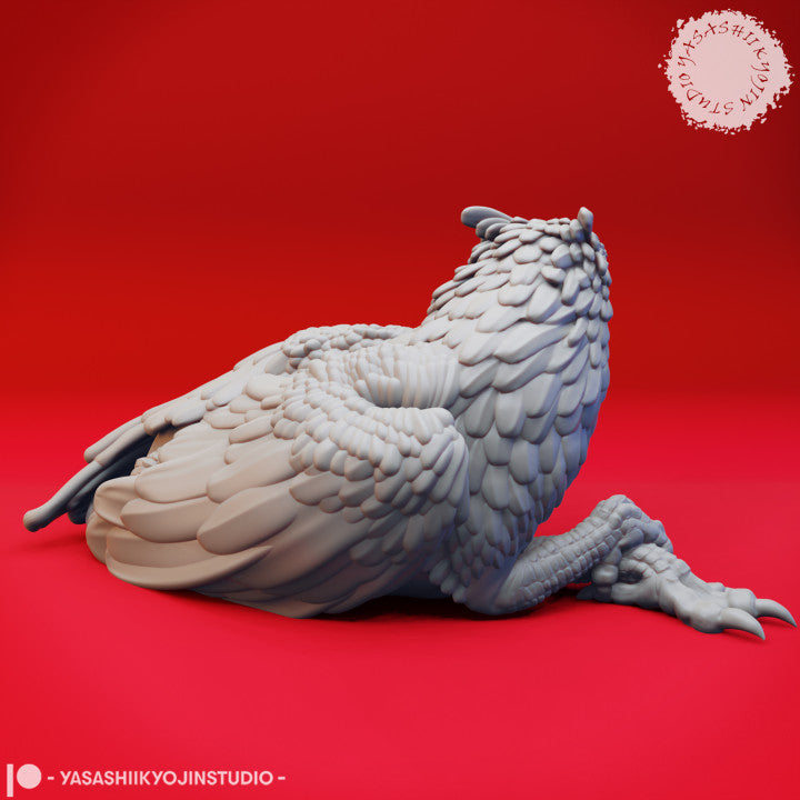 Griffin - Laying
