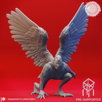 Harpy by YKS