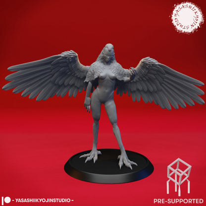 Harpy by YKS