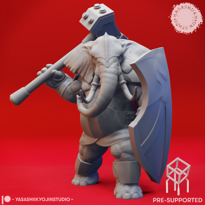 Loxodon by YKS