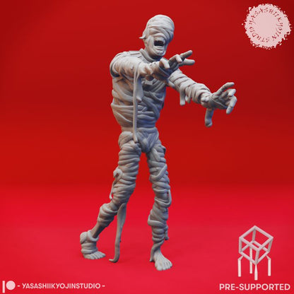 Mummy - Shuffling