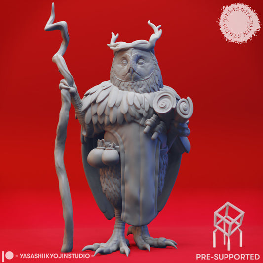 Owlin Druid