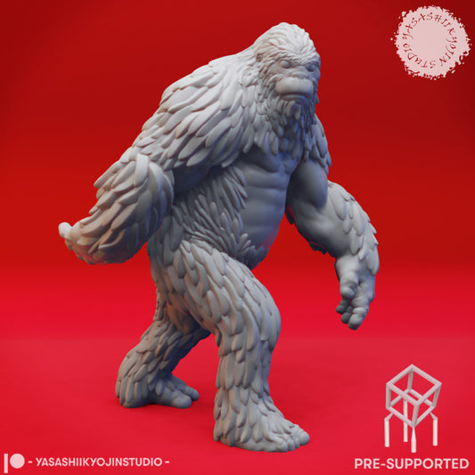 Sasquatch