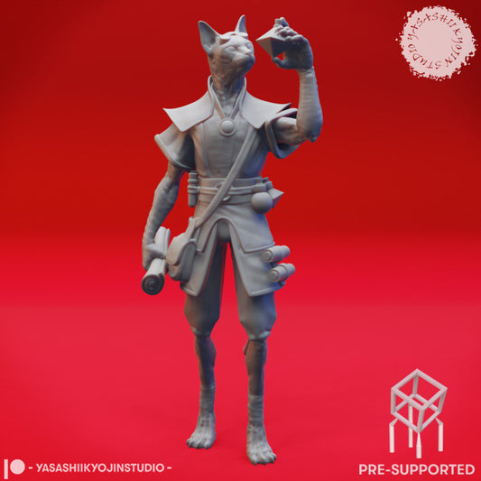 Tabaxi Artificer