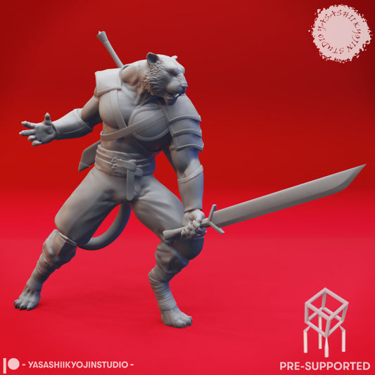 Tabaxi Barbarian