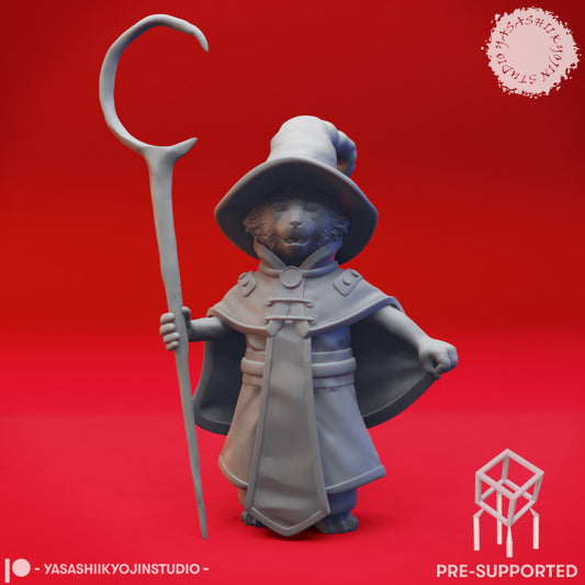Tabaxi Wizard
