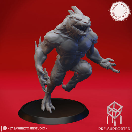 Troglodyte