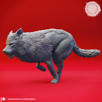 Wolf