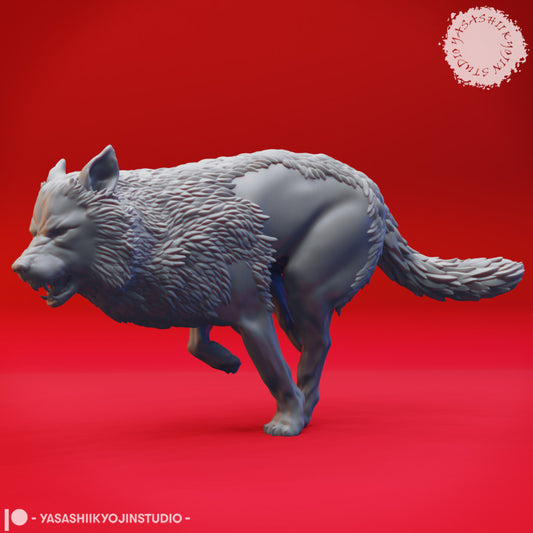 Wolf