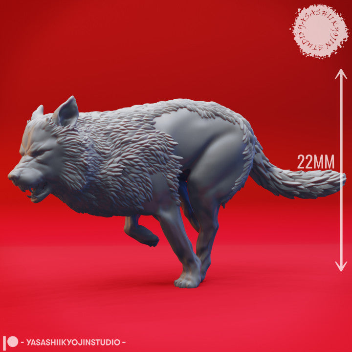 Wolf