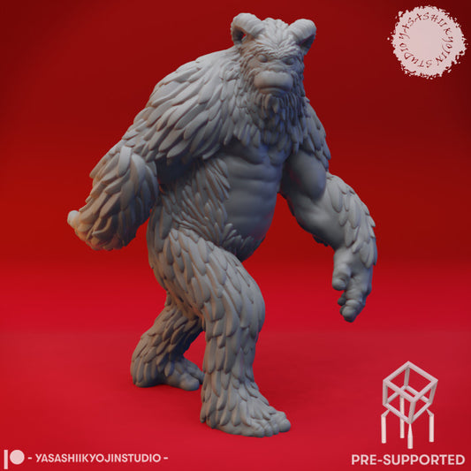 Yeti